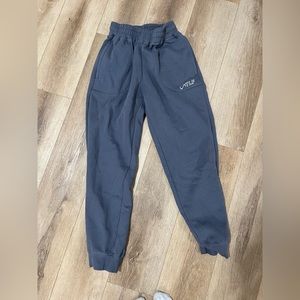 Grayish blue joggers from TLF. XS.